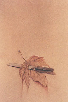 De02
