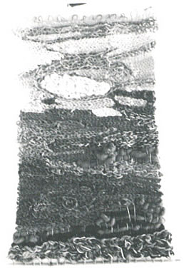 Des011