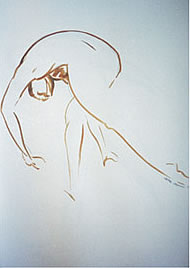 Figura 8