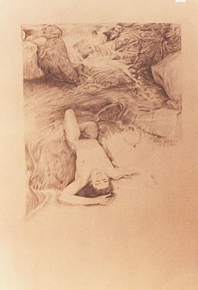 Figura 9