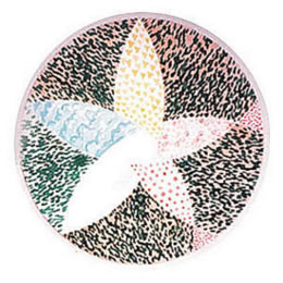 Mandala 02