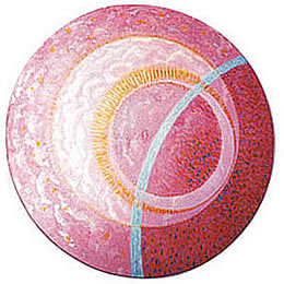 Mandala 07