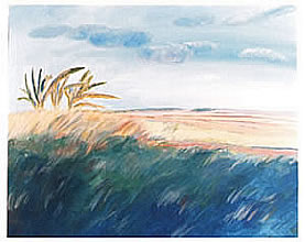 Paisagem 05