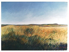 Paisagem 09