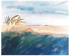 Paisagem 11