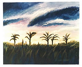 Paisagem 13