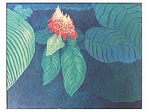 Paisagem 14