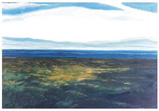 Paisagem 38