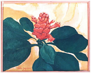 Paisagem 61